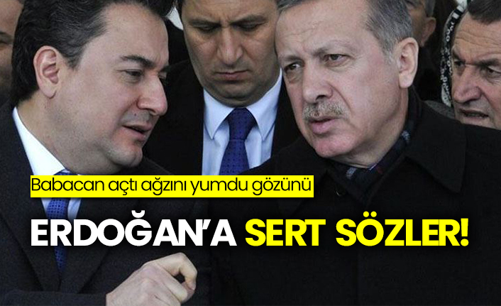 Babacan'dan Erdoğan'a sert sözler