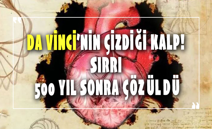 Da Vinci'nin çizdiği kalpteki sır 500 yıl sonra ortaya çıktı