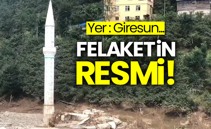 Yer: Giresun...  Felaketin resmi!
