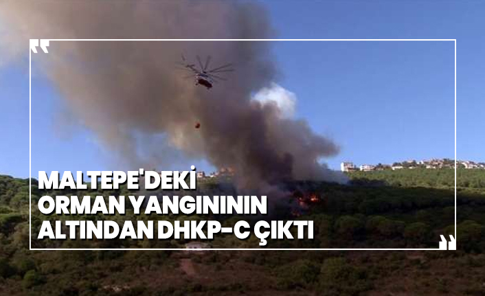 Maltepe'deki orman yangınının altından DHKP-C çıktı