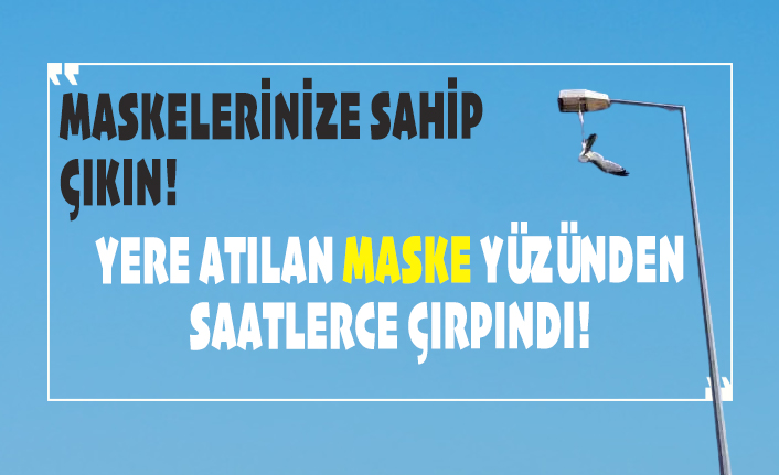 Yere atılan maske martının ayağına takıldı, saatlerce çırpındı!