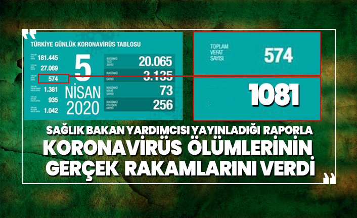 Sağlık Bakan Yardımcısı yayınladığı raporla Koronavirüs ölümlerinin gerçek rakamlarını verdi