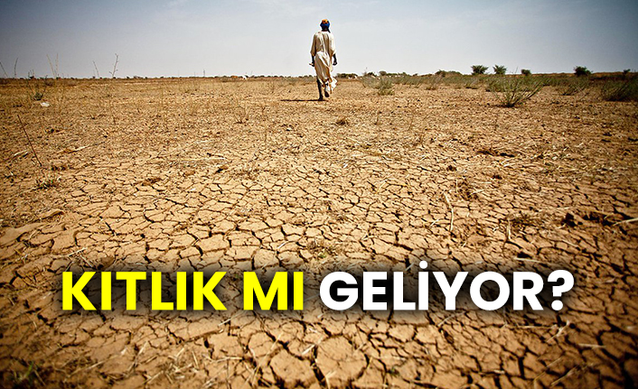 Turan Hareketi Partisi Genel Başkanı:  Kıtlık mı geliyor?