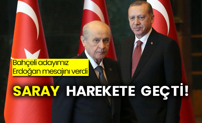 Bahçeli adayımız Erdoğan mesajını verdi: Saray harekete geçti!