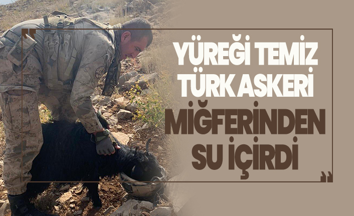 Yüreği temiz Türk askeri keçiye miğferinden su içirdi