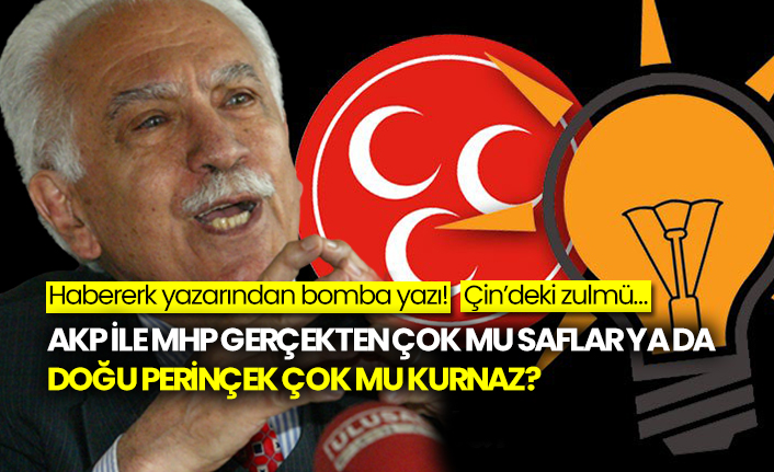 Habererk yazarı Osman Oktay yazdı: AKP ile MHP gerçekten çok mu saflar ya da doğu Perinçek çok mu kurnaz?