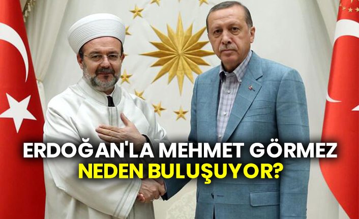 Erdoğan'la Mehmet Görmez neden buluşuyor?