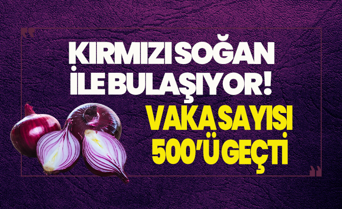 2020'de daha neler olacak! Kırmızı soğan ile bulaşıyor