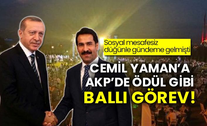 Sosyal mesafesiz düğünle gündeme gelmişti: Cemil Yaman’a AKP’de ödül gibi ballı görev!