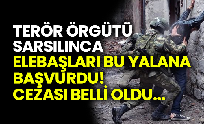 Terör örgütü sarsılınca elebaşları bu yalana başvurdu! Cezası belli oldu...