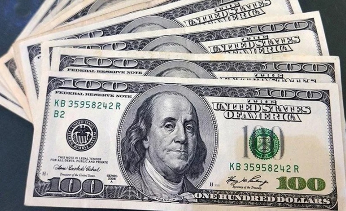 Dolar ve euro rekor serisine devam ediyor