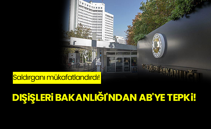 Dışişleri Bakanlığı'ndan AB'ye tepki! Saldırganı mükafatlandırdı!