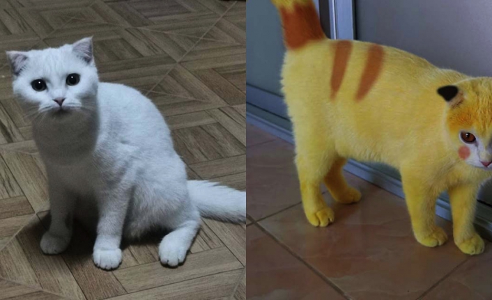 Tedavi etmek isterken Pikachu'ya döndürdü