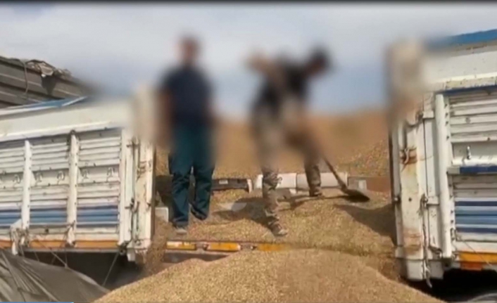 Arpanın altından bakın ne çıktı! Görenler gözlerine inanamadı