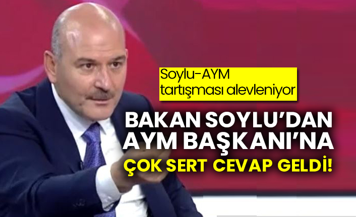 Soylu-AYM tartışması alevleniyor: Bakan Soylu’dan AYM Başkanı’na çok sert cevap geldi!