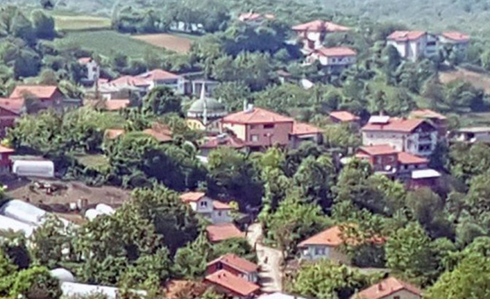 Muhtarın isyanı: Köyde korona olanları ifşa etti