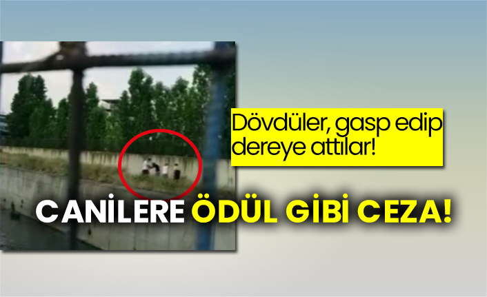 Dövdüler, gasp edip dereye attılar!  Canilere ödül gibi ceza!