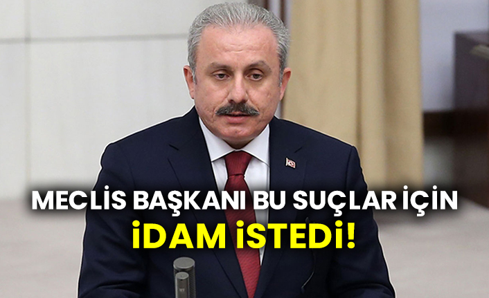 Meclis Başkanı Mustafa Şentop bu suçlar için idam istedi!