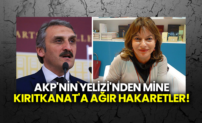 AKP'nin Yelizi'nden Mine Kırıtkanat'a ağır hakaretler!