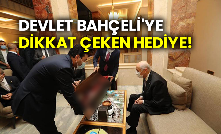 Devlet Bahçeli'ye dikkat çeken hediye!