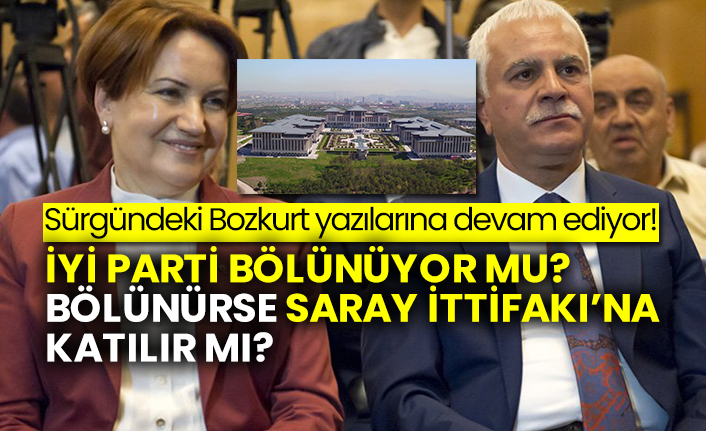 Sürgündeki Bozkurt yazılarına devam ediyor! İYİ Parti bölünüyor mu? Bölünürse Saray İttifakı’na katılır mı?