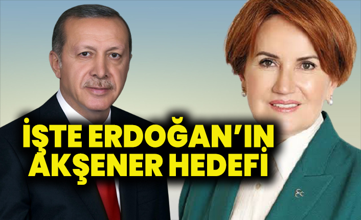 İşte Erdoğan'ın Akşener hedefi!