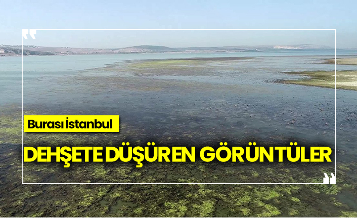 Dehşete düşüren görüntüler, Burası İstanbul