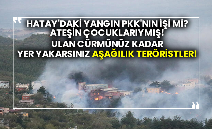Hatay'daki yangın PKK'nın işi mi?