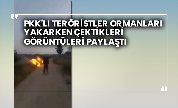 PKK'lı teröristler ormanları yakarken çektikleri görüntüleri paylaştı