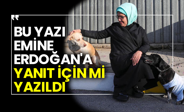 Bu yazı Emine Erdoğan'a yanıt için mi yazıldı