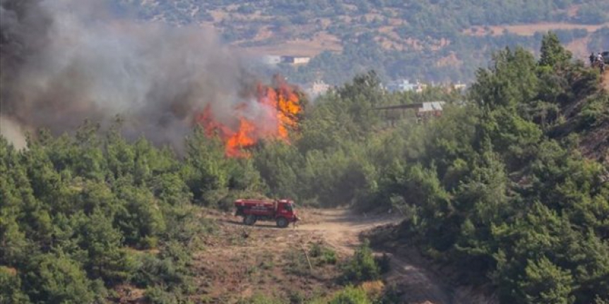 Hatay'daki orman yangınlarıyla ilgili  tutuklama