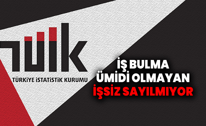 TÜİK Sağlık Bakanlığı'na özendi: İş bulma ümidi olmayan işsiz sayılmıyor