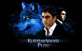 Kurtlar Vadisi Pusu final mi yapacak?
