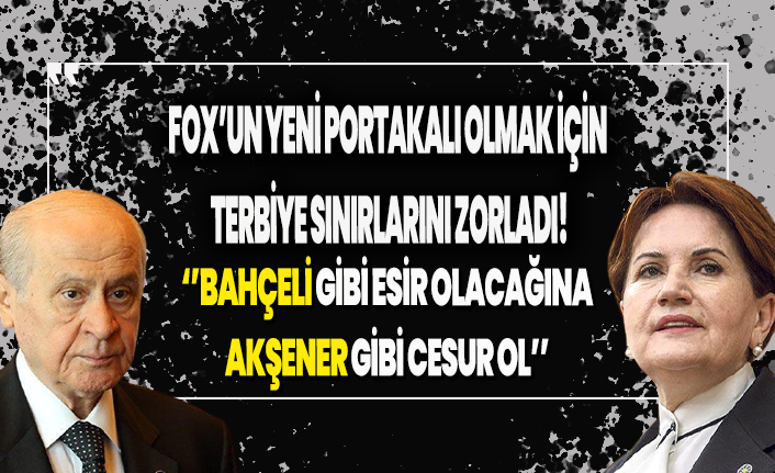 Fox’un yeni portakalı olmak için terbiye sınırlarını zorladı! Bahçeli gibi esir olacağına, Akşener gibi cesur ol