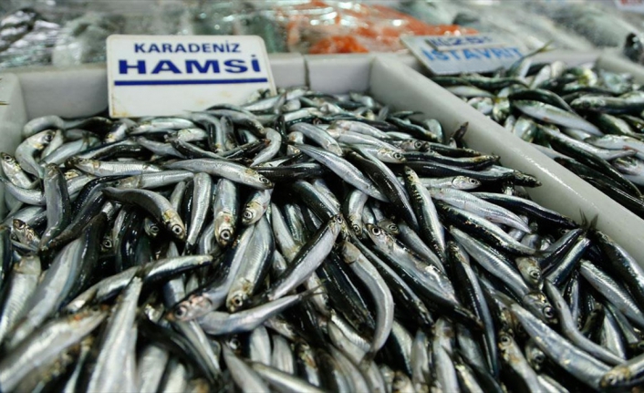 Hamsi cep yakıyor: Hamsi yemek lüks oldu