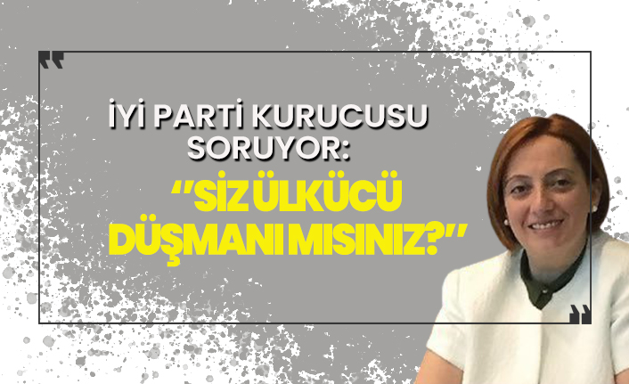 İYİ Parti kurucusu sordu: Siz ülkücü düşmanı mısınız?