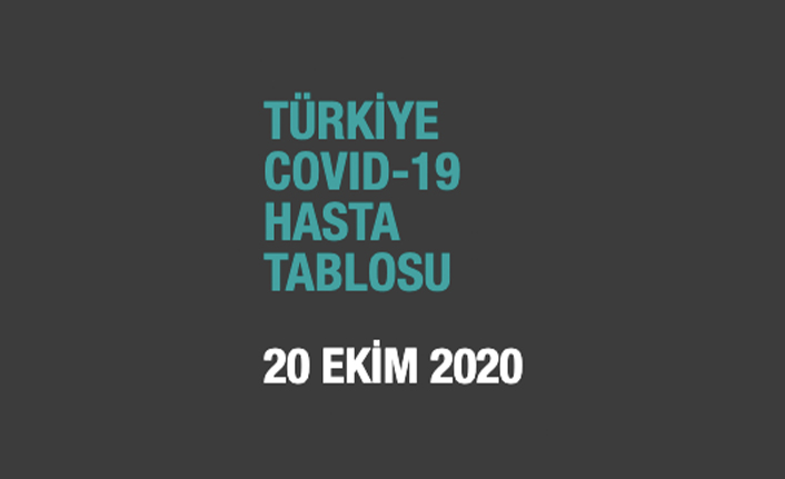 Son 24 saatte 74 kişi hayatını kaybetti
