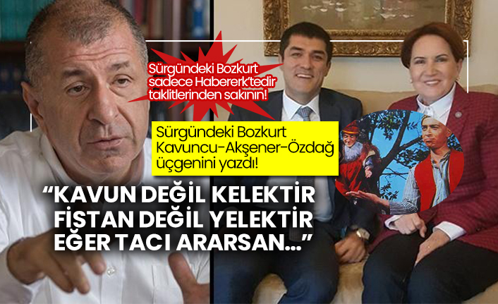 Sürgündeki Bozkurt Kavuncu-Akşener-Özdağ üçgenini yazdı!  “Kavun değil kelektir fistan değil yelektir eğer tacı ararsan…”