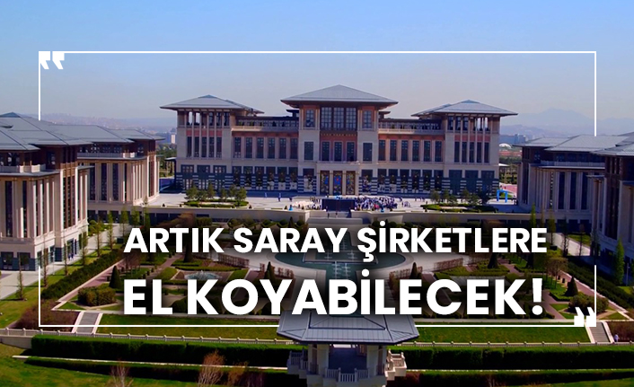 Artık Saray şirketlere el koyabilecek!