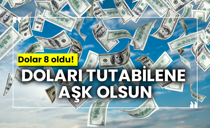 Dolar 8 oldu! Doları tutabilene aşk olsun