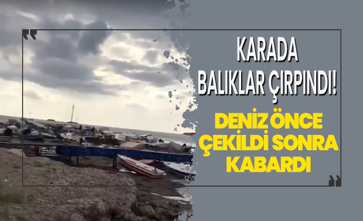 Balıklar karada çırpındı!İzmir'de deniz önce çekildi sonra kabararak geri geldi!