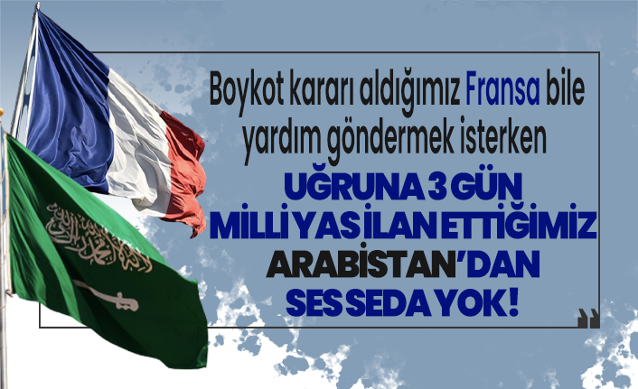 Boykot kararı aldığımız Fransa bile yardım göndermek isterken, uğruna 3 gün milli yas ilan ettiğimiz Arabistan'dan ses seda yok!
