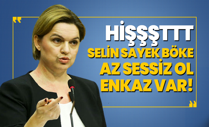 CHP'li Selin Sayek Böke her zaman ki gibi baltayı taşa vurdu!
