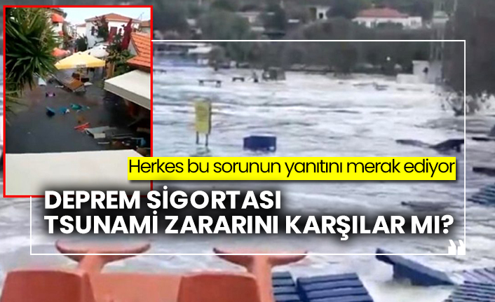 Herkes bu sorunun yanıtını merak ediyor: Deprem sigortası tsunami zararını karşılar mı?