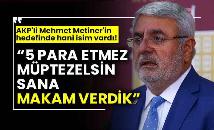 AKP'li Mehmet Metiner'in hedefinde hani isim vardı! “5 para etmez müptezelsin sana makam verdik”
