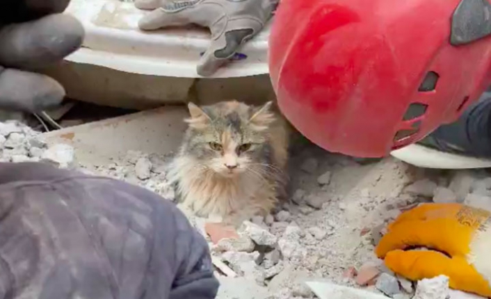 Rıza Bey Apartmanı'nda mucize!