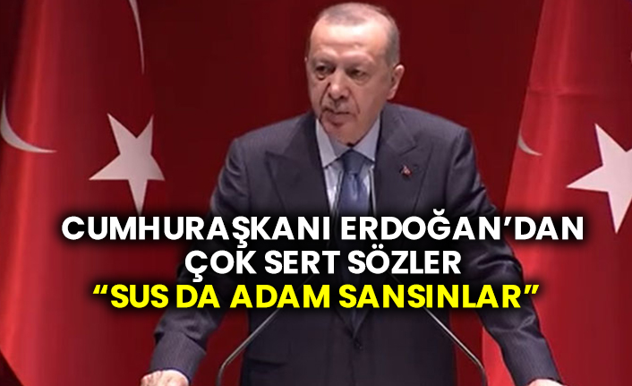 Cumhurbaşkanı Recep Tayyip Erdoğan'dan çok sert sözler: Sus da adam sansınlar