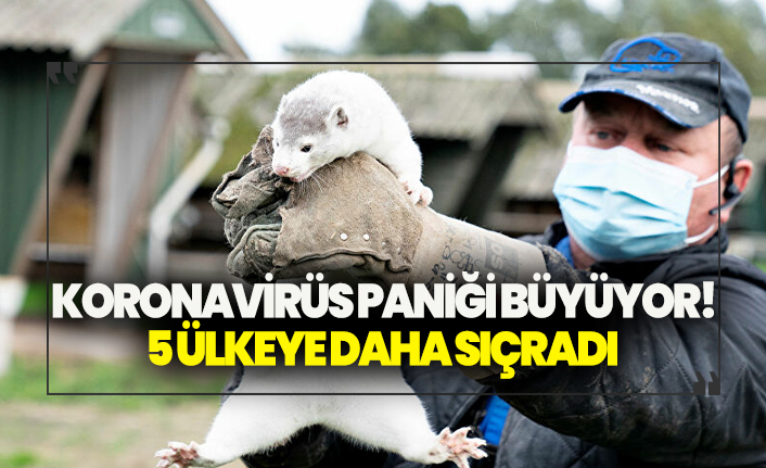 Koronavirüs paniği giderek artıyor! 5 ülkeye daha sıçradı