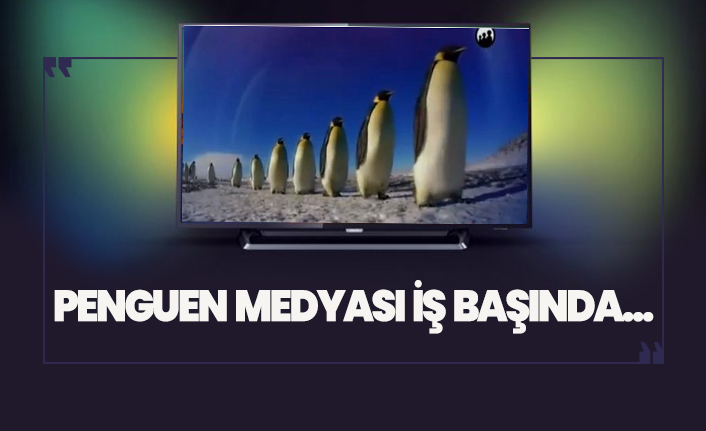Penguen medyası iş başında