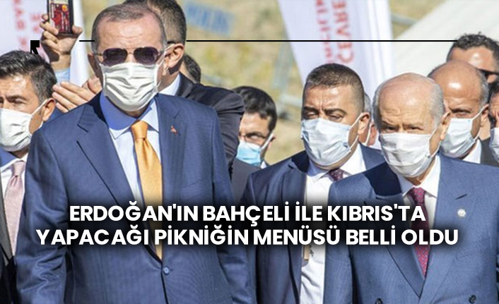 Erdoğan'ın Bahçeli ile Kıbrıs'ta yapacağı pikniğin menüsü belli oldu